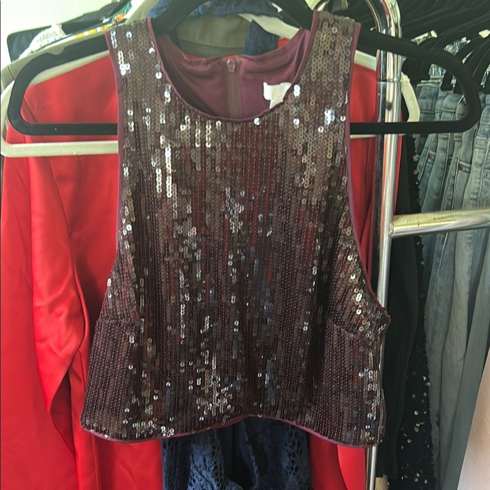 H&M Burgundy Sequin Tank Top